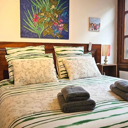 Les Berges De L'Ill Apartment Strasbourg Bagian luar foto